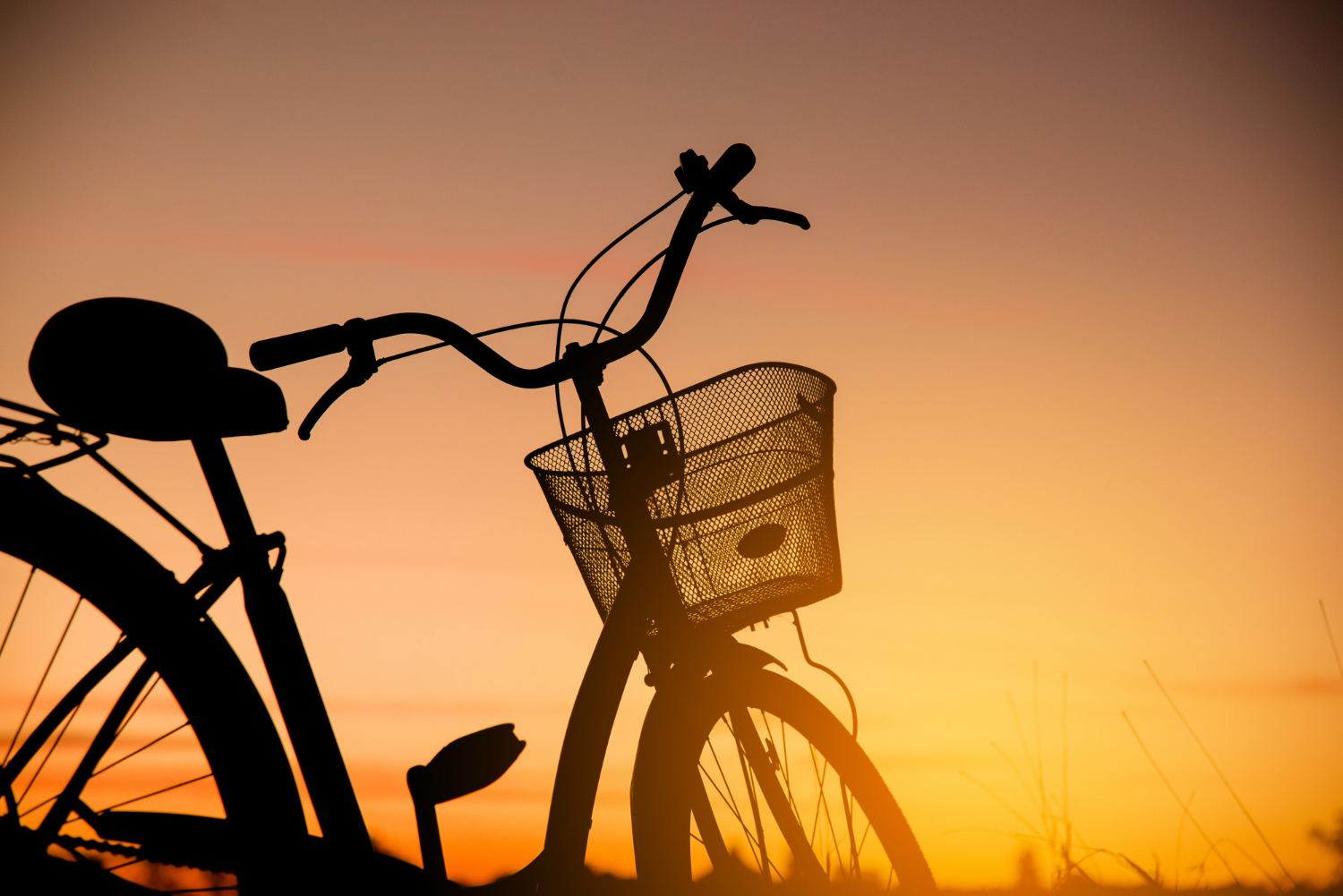 Ngor alamdies bike tour